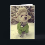 雪の中の犬 シーズンカード<br><div class="desc">誰かの顔にスマイルを！</div>