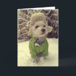 雪の中の犬 シーズンカード<br><div class="desc">誰かの顔にスマイルを！</div>
