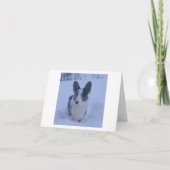 雪の中の犬　折りたたまれたホリデーカード シーズンカード (正面)