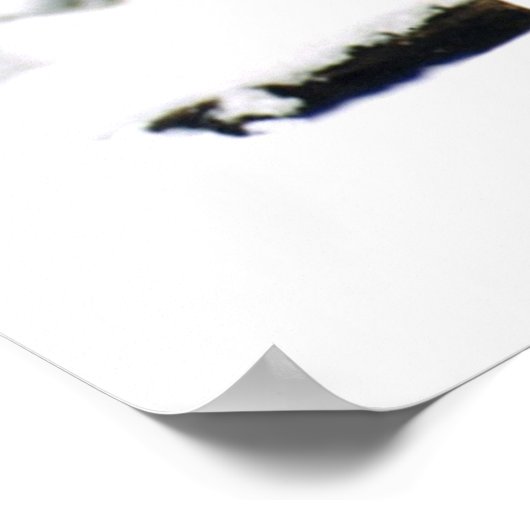 雪の中の狼 ポスター (角)