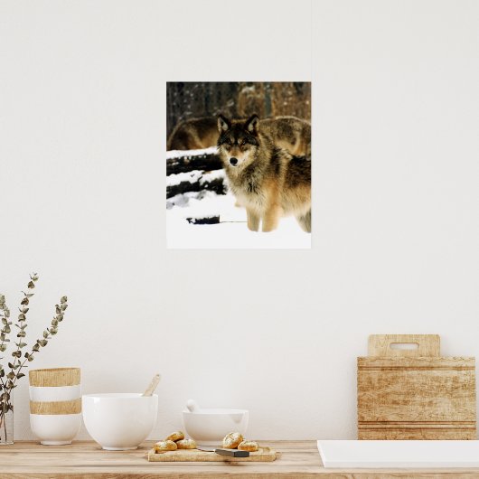 雪の中の狼 ポスター (キッチン)