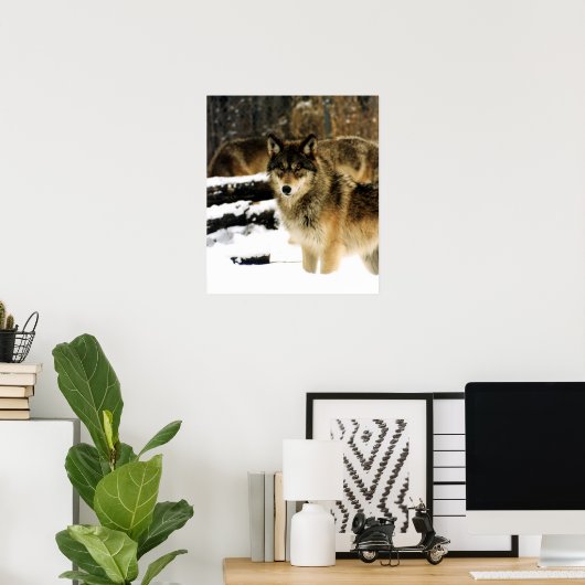 雪の中の狼 ポスター (ホームオフィス)