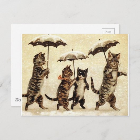 雪の中の猫と傘 ポストカード (正面/裏面)