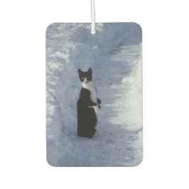 雪の中の猫 カーエアーフレッシュナー