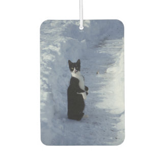 雪の中の猫 カーエアーフレッシュナー
