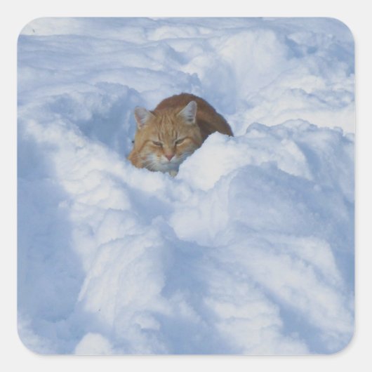 雪の中の猫 スクエアシール (正面)