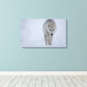 雪の中の白い北極のオオカミ歩く キャンバスプリント (インサイチュ (ウッドフロア))