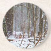 雪の中の白い尾の鹿 コースター (正面)