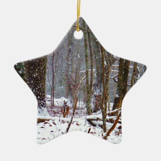 雪の中の白い尾の鹿 セラミックオーナメント (正面)