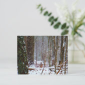 雪の中の白い尾の鹿 ポストカード (スタンド正面)