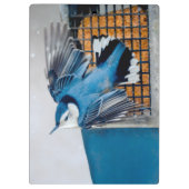 雪の中の白い胸のヌサッチ – オリジナル写真 クリップボード (裏面)