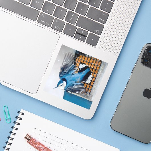 雪の中の白い胸のヌサッチ – オリジナル写真 シール (ノートパソコンとiPhone)