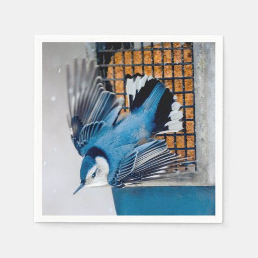 雪の中の白い胸のヌサッチ – オリジナル写真 スタンダードカクテルナプキン (正面)