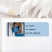 雪の中の白い胸のヌサッチ – オリジナル写真 ラベル (インサイチュ)