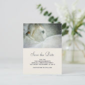 雪の中の白い馬と鳥デートを除く 案内ポストカード (スタンド正面)