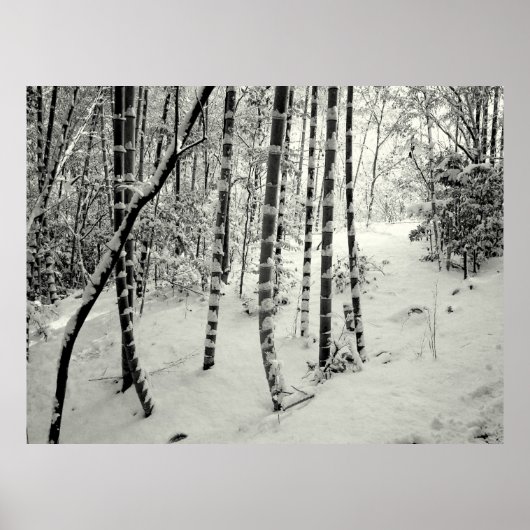 雪の中の竹幹 ポスター (正面)