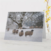雪の中の羊 カード (黄色い花)