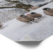 雪の中の羊 ポスター (角)