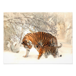 雪の中の美しいトラと子 フォトプリント