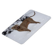 雪の中の美しいワイマラー マグネット (左側)