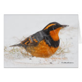 雪の中の美しい多様なツグミの鳴き鳥 (正面横)