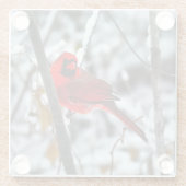 雪の中の美しい明るい赤の（鳥）ショウジョウコウカンチョウ ガラスコースター (裏面)