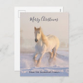 雪の中の美しい白い馬フォトクリスマス シーズンポストカード (正面/裏面)