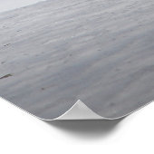 雪の中の美しい赤いキツネ ポスター (角)