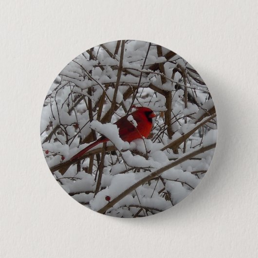 雪の中の美しい赤い(鳥)ショウジョウコウカンチョウの木のボタン 缶バッジ (正面)