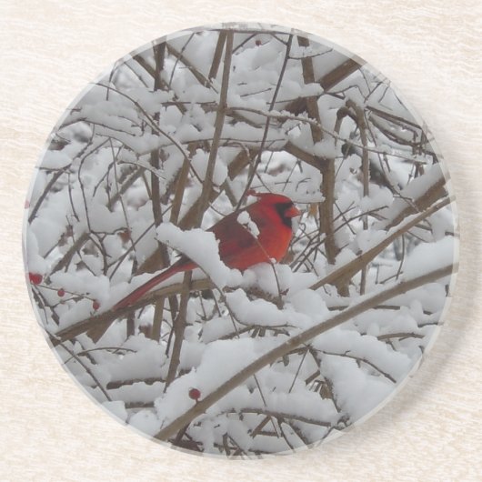 雪の中の美しい赤い(鳥)ショウジョウコウカンチョウの木コースター コースター (正面)