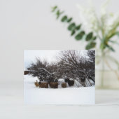 雪の中の群れを集める ポストカード (スタンド正面)