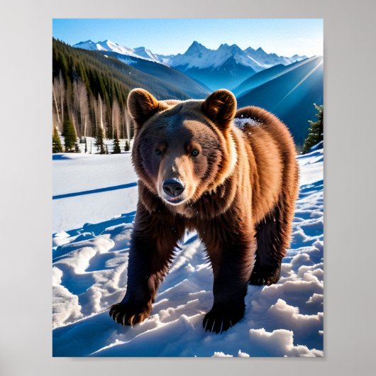 雪の中の茶色のクマ ポスター (正面)
