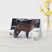 雪の中の華麗な赤狐 野生生物 冬の自然 カード (黄色い花)