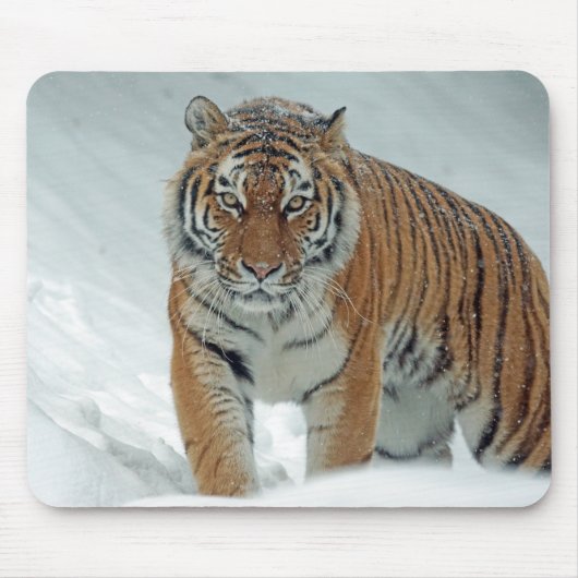 雪の中の虎 マウスパッド (正面)