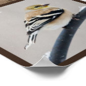 雪の中の裏庭の鳥 ポスター (角)