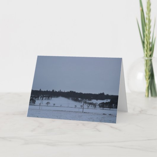 雪の中の裸の木 シーズンカード (正面)