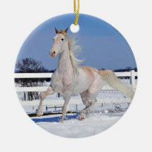 雪の中の赤いローアン