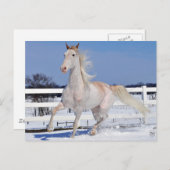 雪の中の赤いローアン ポストカード (正面/裏面)