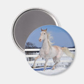 雪の中の赤いローアン マグネット (正面/裏面)