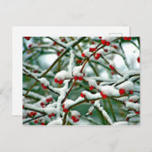 雪の中の赤い果実 ポストカード (正面/裏面)