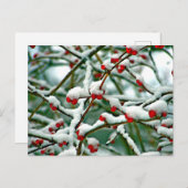 雪の中の赤い果実(2025) ポストカード (正面/裏面)