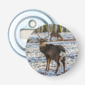 雪の中の赤い鹿 栓抜き (正面)