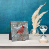 雪の中の赤い（鳥）ショウジョウコウカンチョウ フォトプラーク (インサイチュ)