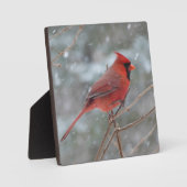 雪の中の赤い（鳥）ショウジョウコウカンチョウ フォトプラーク (正面)