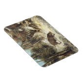 雪の中の野生のイノシシ、クールベットとして署名(フェイク) マグネット (右側)