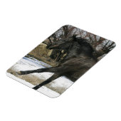 雪の中の野生のマスタング馬2 マグネット (左側)