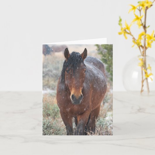 雪の中の野生の髭 カード (黄色い花)