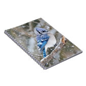 雪の中の青いカケス ノートブック (右側)