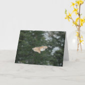雪の中の飛んでいる納屋フクロウ カード (黄色い花)