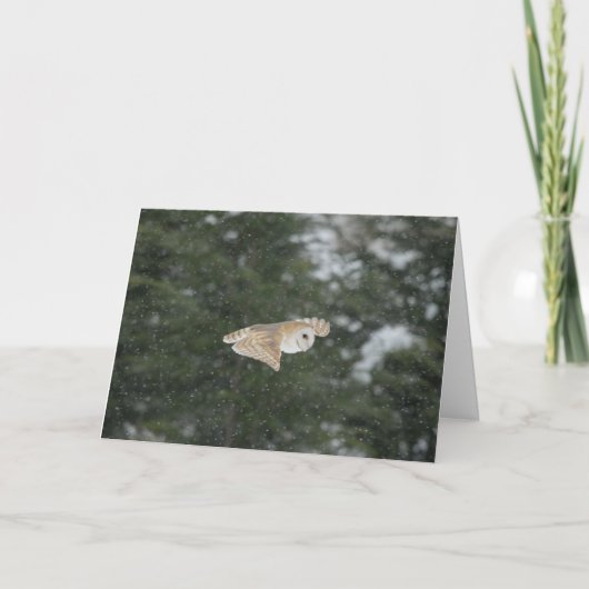 雪の中の飛んでいる納屋フクロウ カード (正面)